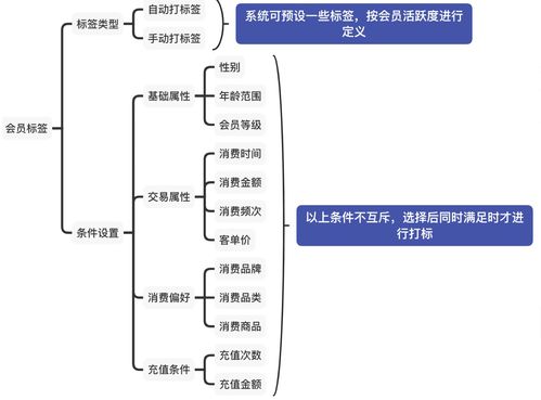 會員系統在后臺信息系統中的四大核心模塊與集成服務解析